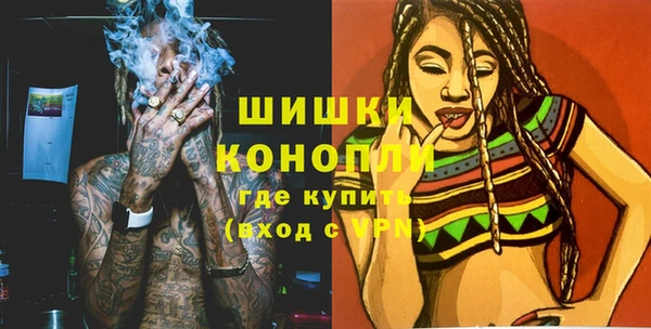 ПСИЛОЦИБИНОВЫЕ ГРИБЫ Магас