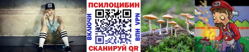 Галлюциногенные грибы GOLDEN TEACHER  купить наркотик  Новочеркасск 
