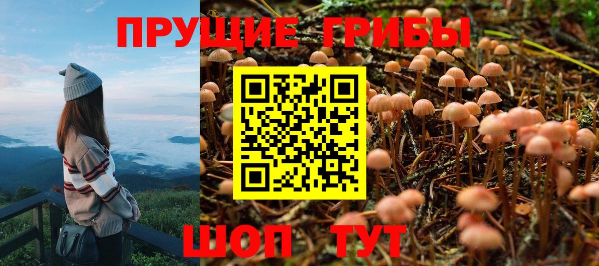 Новочеркасск  Галлюциногенные грибы мицелий  Вход с VPN 