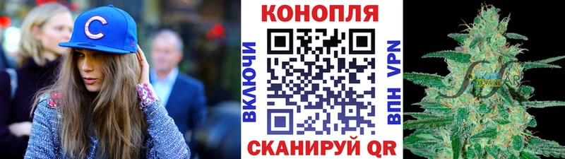 купить   Новочеркасск  Каннабис SATIVA & INDICA 